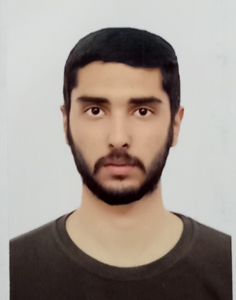 Ali Abasishahkoh